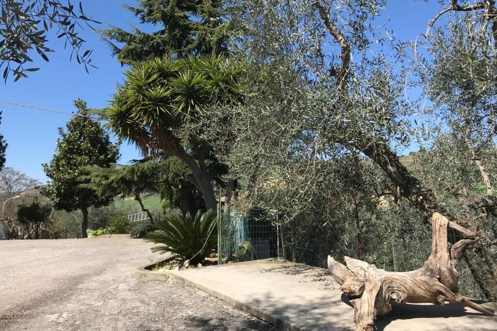 Casa Lu Monaco Tranquillita A Due Passi Dal Mare Lejlighed Porto d'Ascoli Eksteriør billede
